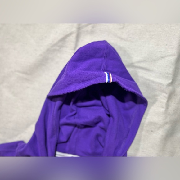 Men’s Retro Y2K Purple Champion Multicolored Logo Hoodie Size L - Picture 6 of 6